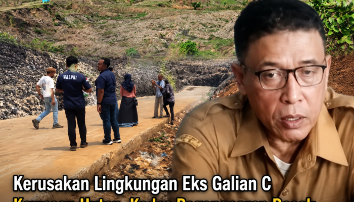Bekas Tambang Galian C Pegongsoran Belum Direklamasi, Pemerintah Desa Desak Perhutani dan Pengusaha Bertindak