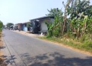 Kepala Desa Wasno Bantah Tarik Sewa Tanah Bengkok Desa Surajaya di Mengori.