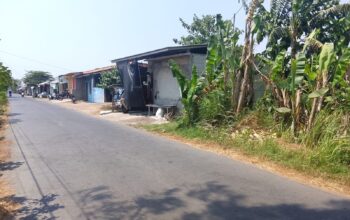 Kepala Desa Wasno Bantah Tarik Sewa Tanah Bengkok Desa Surajaya di Mengori.