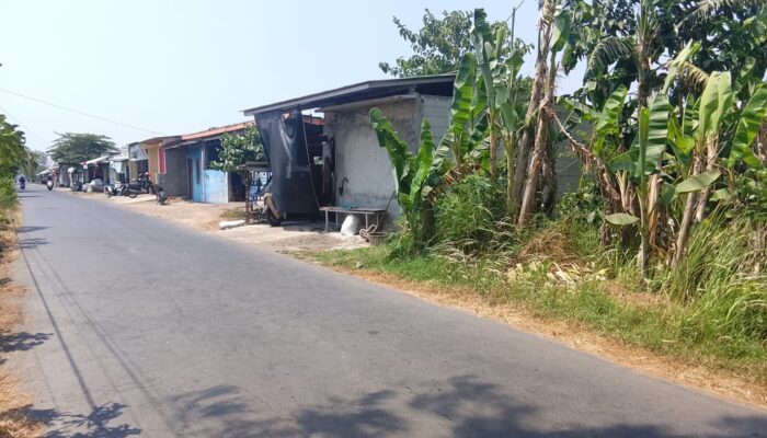 Kepala Desa Wasno Bantah Tarik Sewa Tanah Bengkok Desa Surajaya di Mengori.