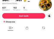 Konfirmasi Pemberitaan BUMDes Kauman Comal, Pemilik Akun TikTok sunflower Sebut Jurnalis “Bodoh”