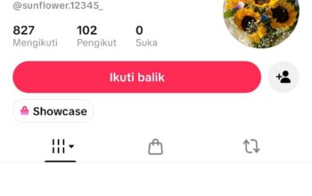 Konfirmasi Pemberitaan BUMDes Kauman Comal, Pemilik Akun TikTok sunflower Sebut Jurnalis “Bodoh”